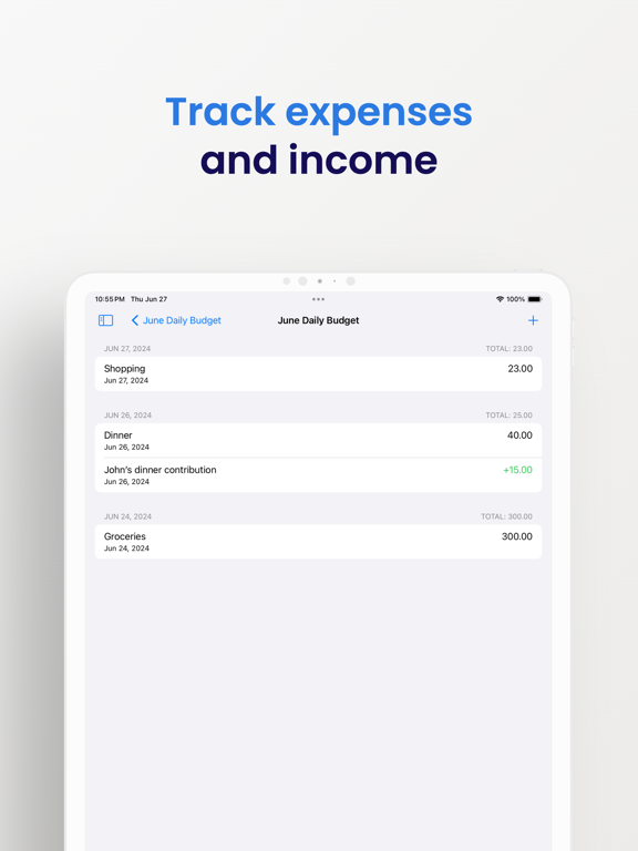 Daily Budget iPad screenshot 4 - Finance app