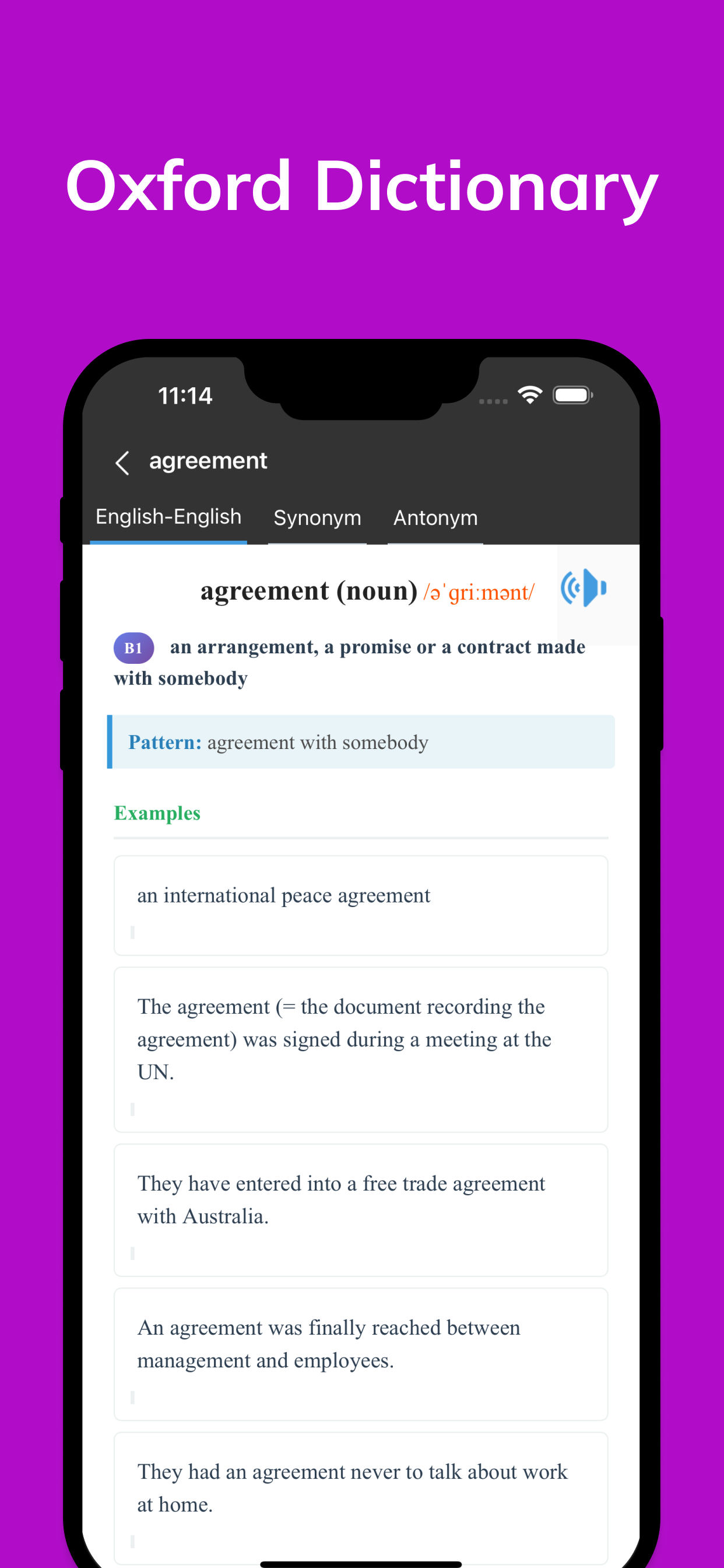 3000 Core English Vocabulary screenshot 9