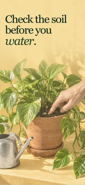 Rootsy: Plant Identifier screenshot 2