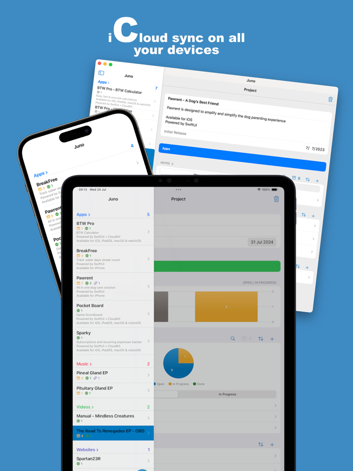 Task  Project Manager - Juno