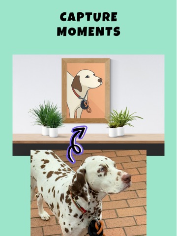 Petdraw: Pet Photo Art Editor iPad screenshot