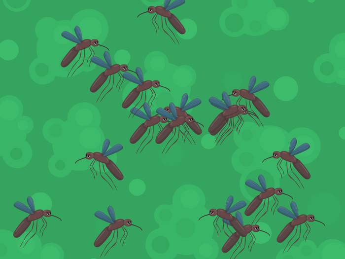 Cat Games - Games For Cats