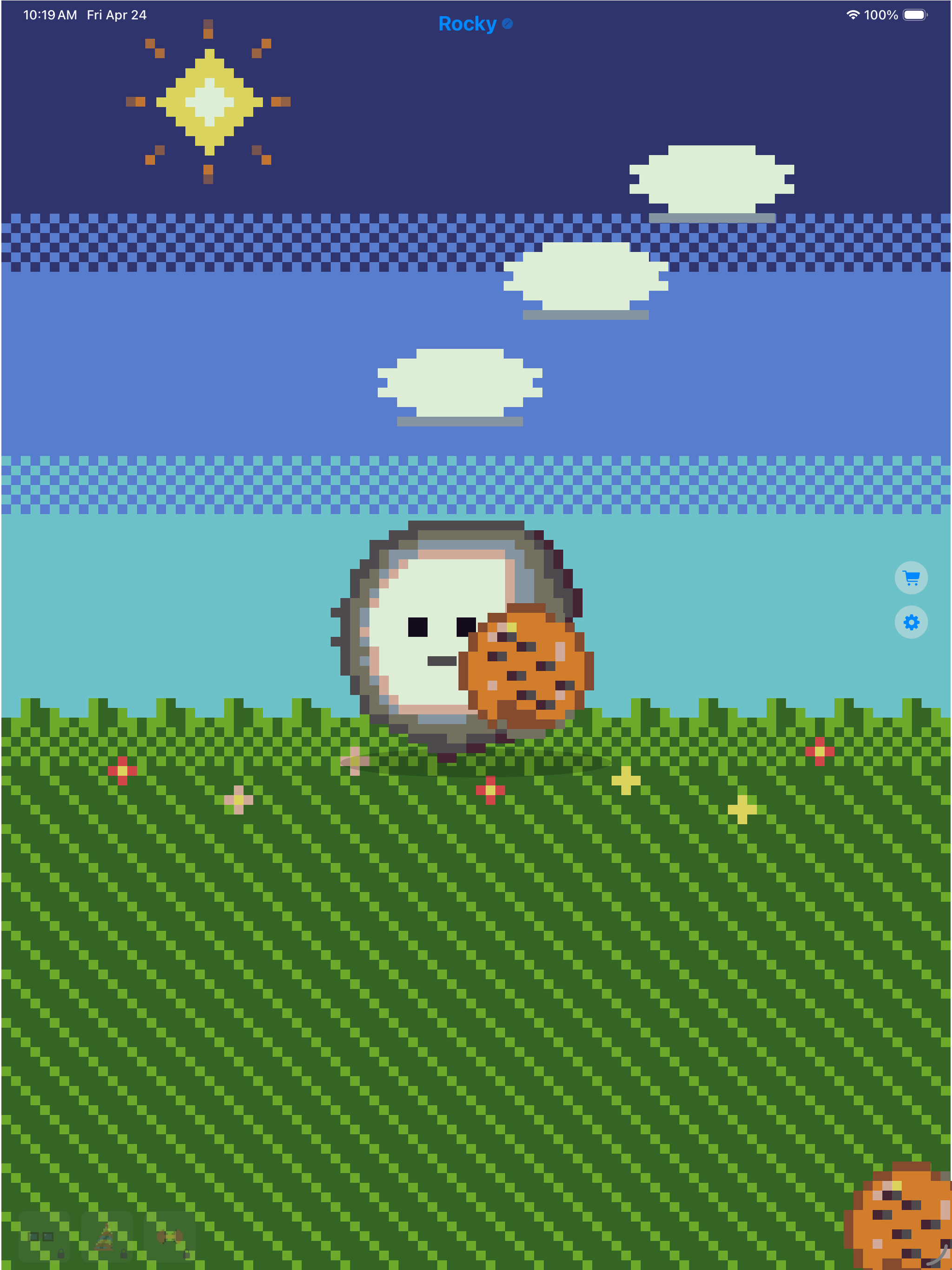 Rocky - Pet Rock