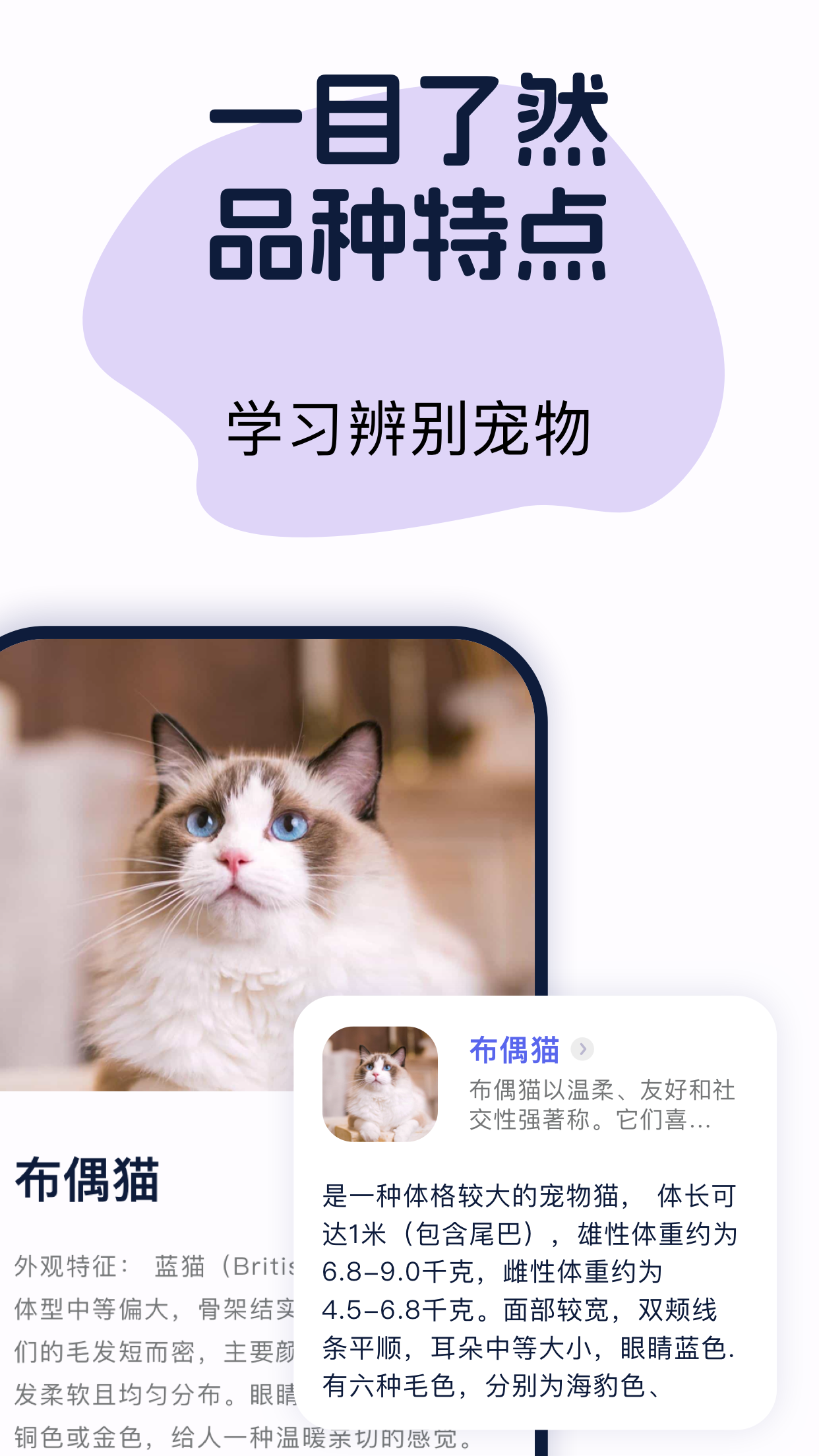 咕噜识宠-昆虫识别、动物识别