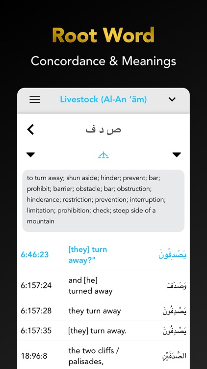 Quran Study Learn Word by Word screenshot-5