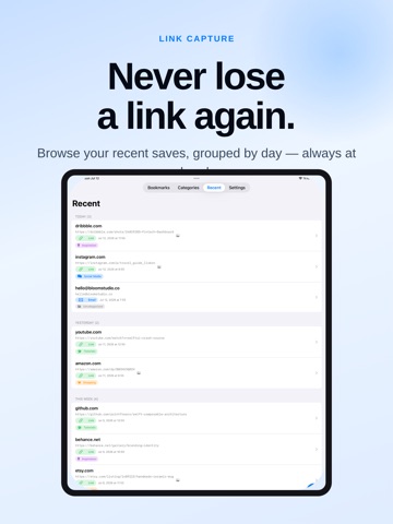 Link Capture screenshot 8