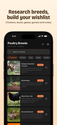 Feathrs: Chicken & Egg Tracker Screenshot 8 of 8