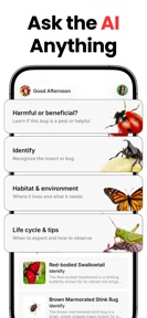 Insect Identification: AI Scan screenshot