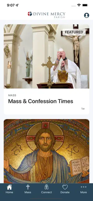 Divine Mercy Parish Gardner screenshot 1
