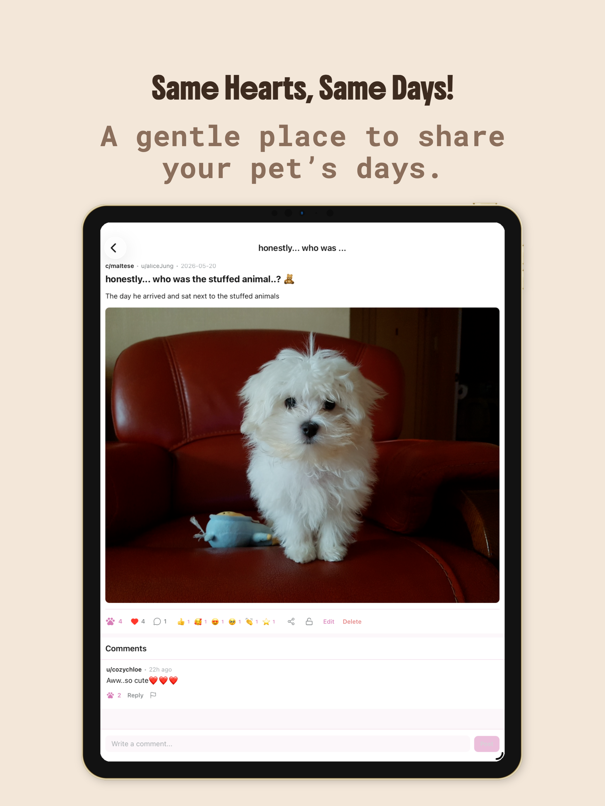 Cherinity screenshot 13