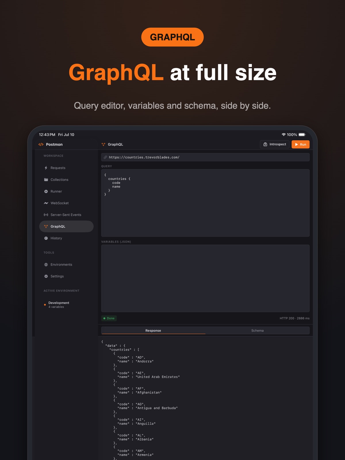 Postmon - Rest API Client ipad screenshot 4