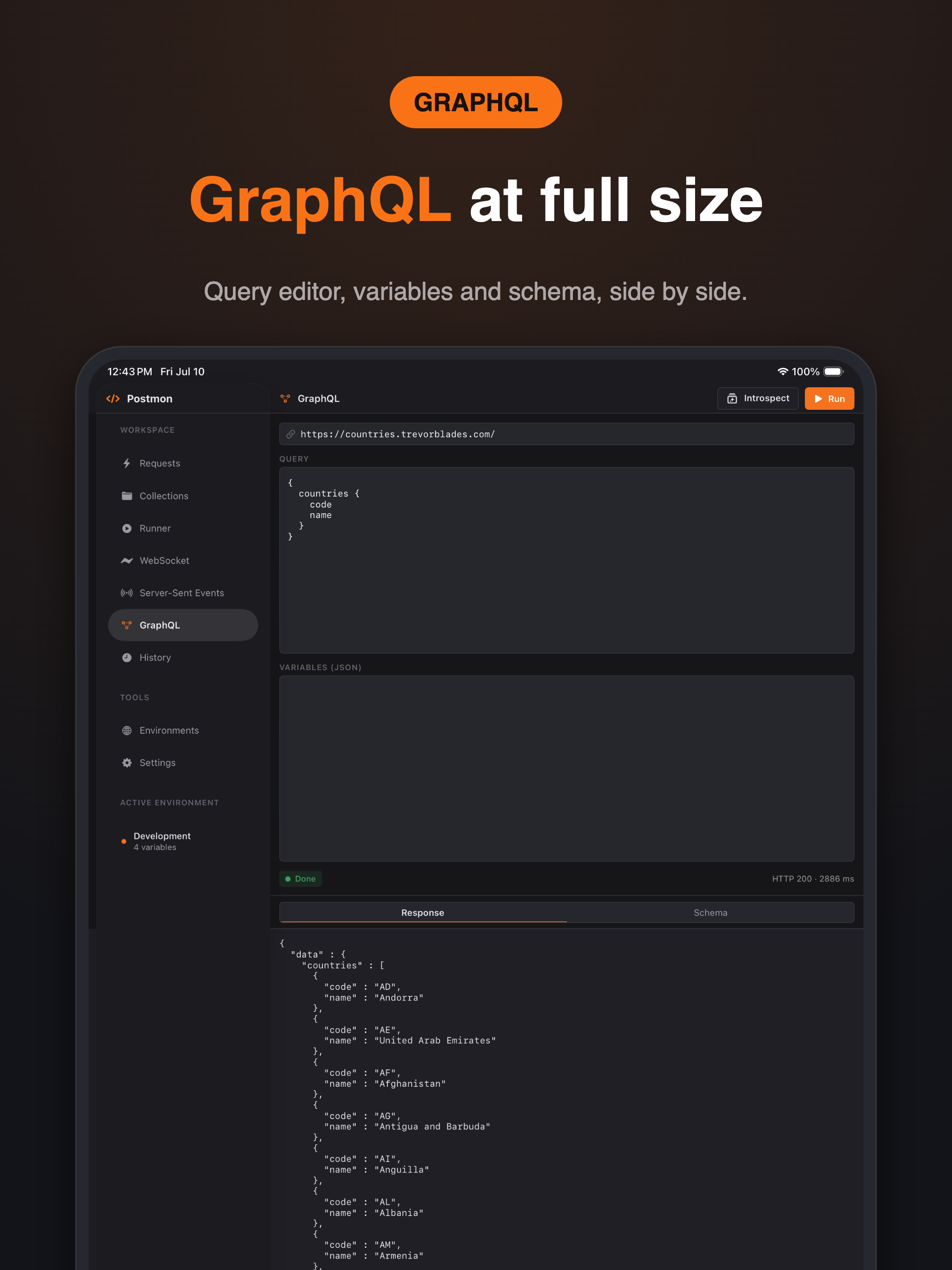 PostX - Rest API Client screenshot 10