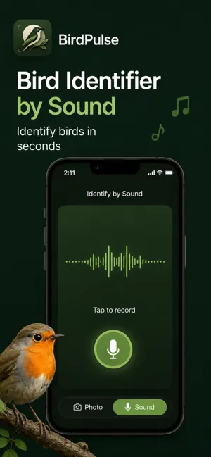 Bird Identifier — BirdPulse iPhone screenshot 2