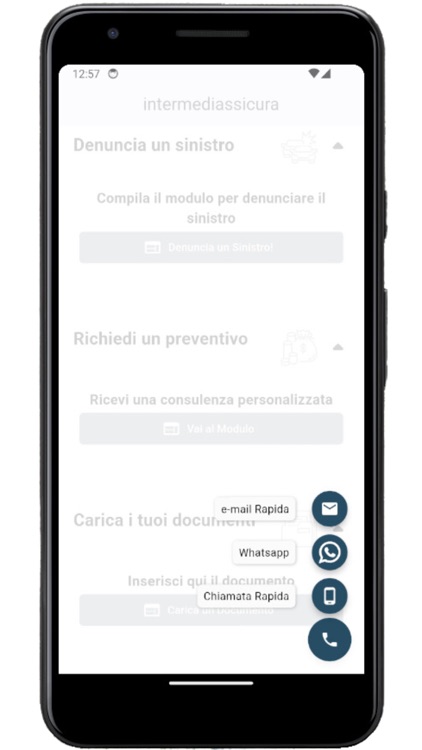 Intermediassicura screenshot-7