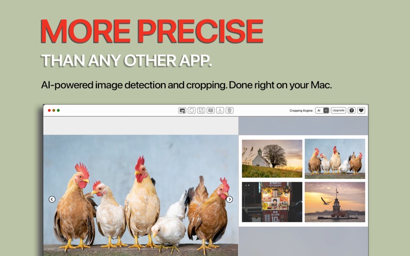 Screenshot #3 pour Snip: Batchcrop Scanned Photos