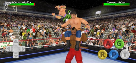 Wrestling Empire - Experience dynamic wrestling maneuvers and real-time health tracking that highlight the game's satisfying combat mechanics.