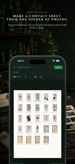 Frankensheet screenshot 2