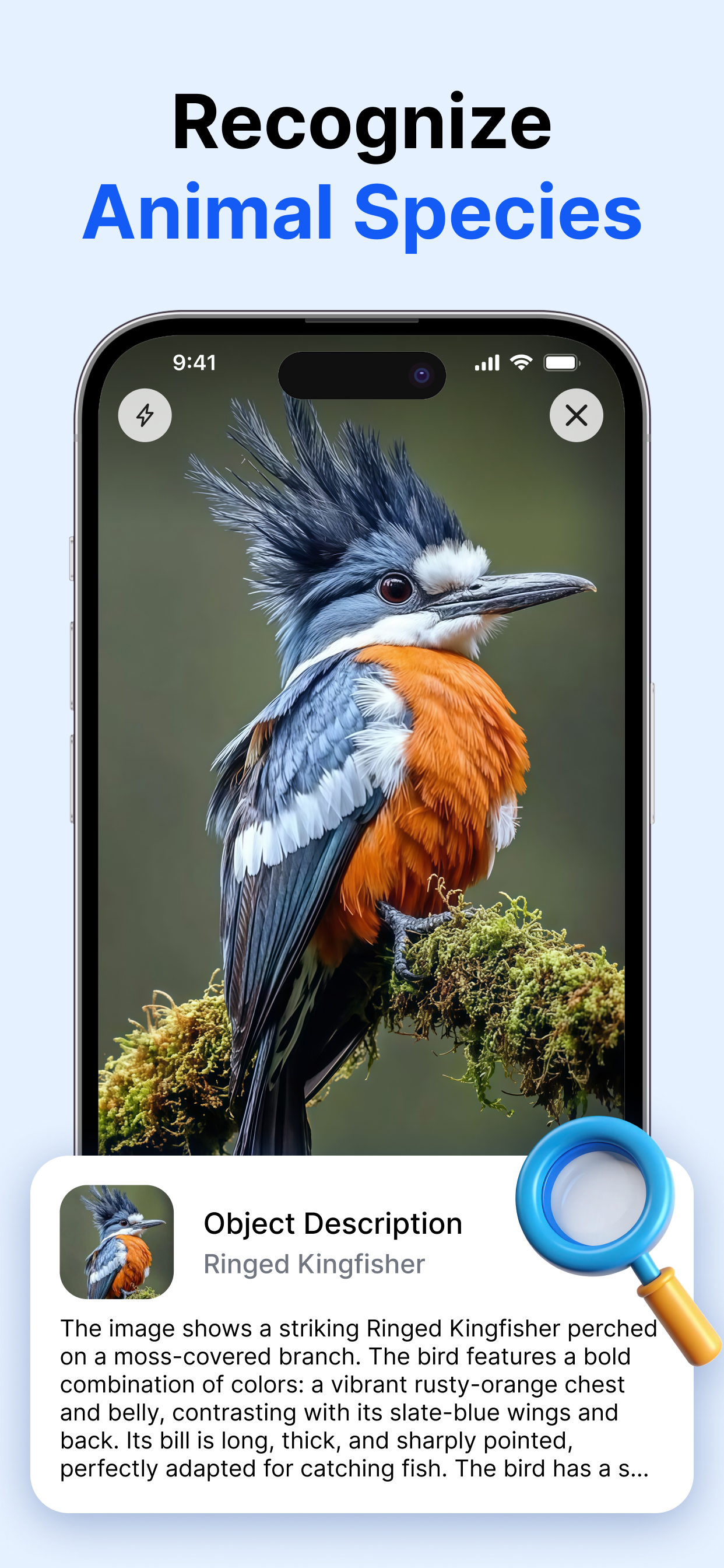 Lens Photo Search & Translate screenshot 4