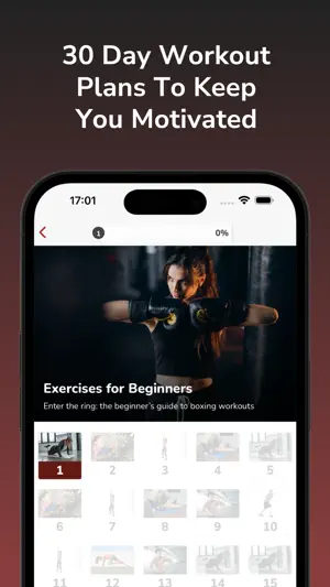Train Like a Boxer screenshot 2