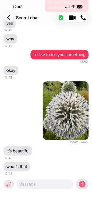 One to One Secret Chat screenshot 1