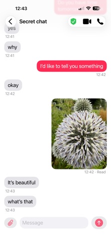 One to One Secret Chat Screenshot 1 of 6