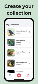 Bird Call Identifier: Featha screenshot