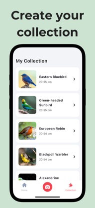 Bird Call Identifier: Featha screenshot 3