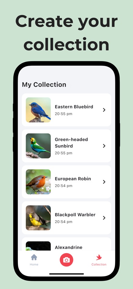 #3. Bird Call Identifier: Featha (iOS) Oleh: Cristian Alan Canales Mota