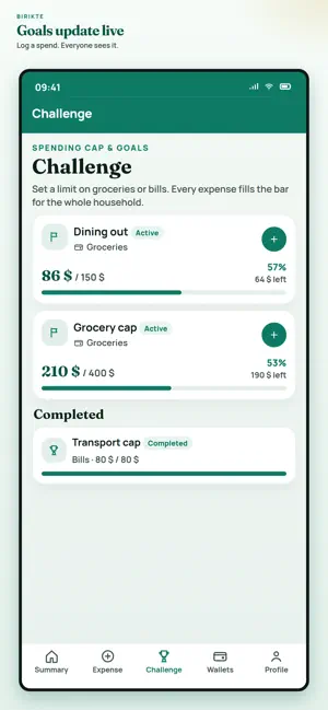 Birikte: Family Budget Expense screenshot 4