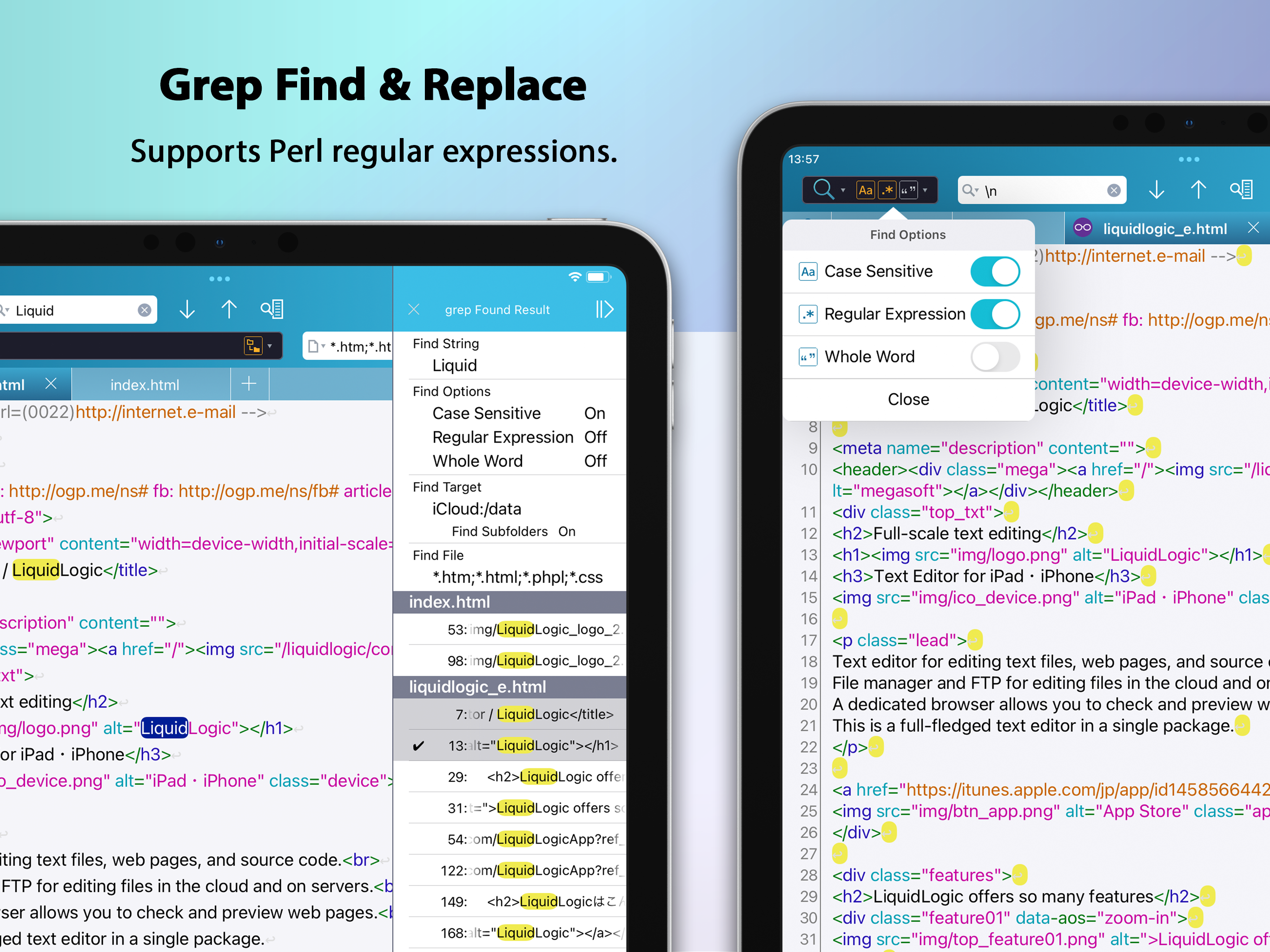 Text Editor - LiquidLogic screenshot 13