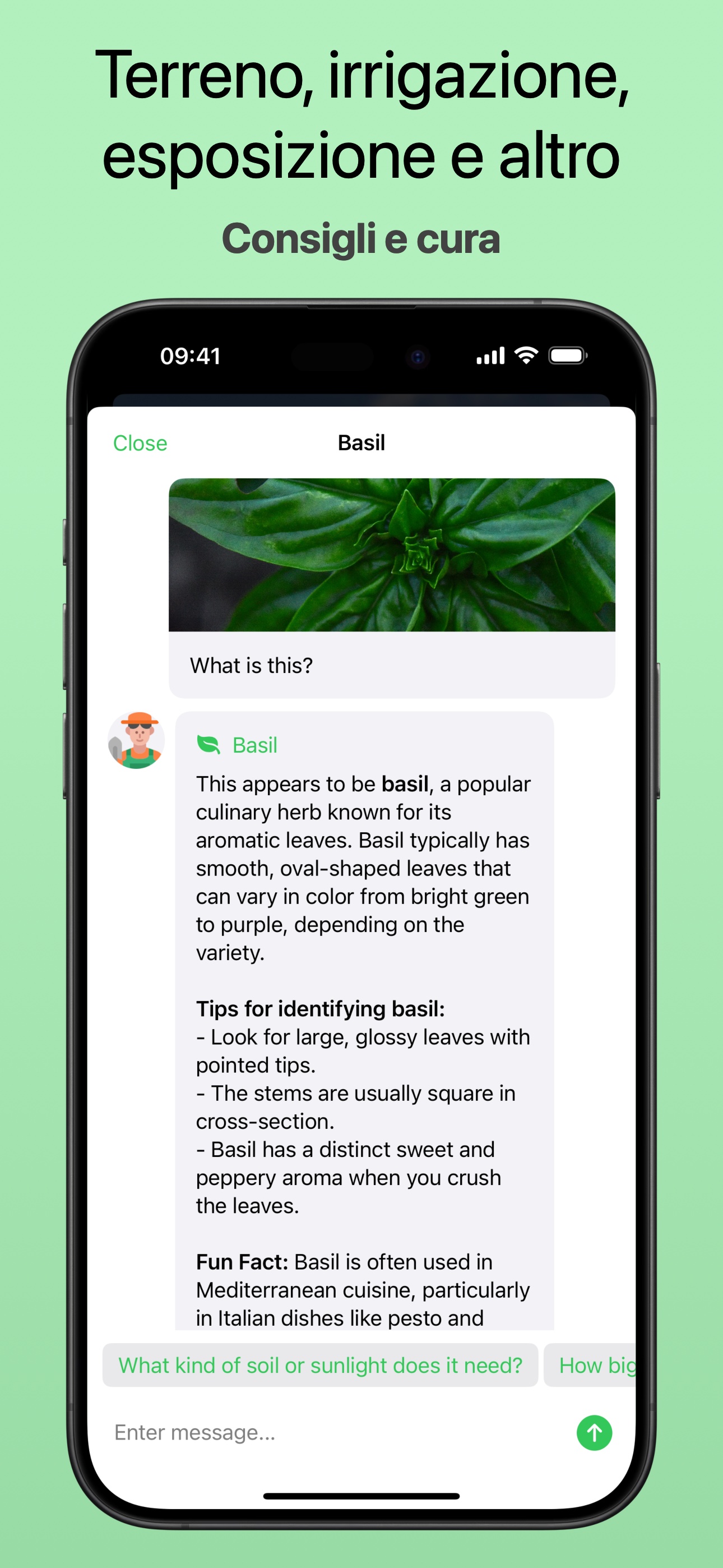 Easy Translate-AI translation