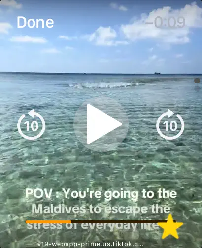 #4. VisionBrowser (iOS) De: 嘉腾 吴