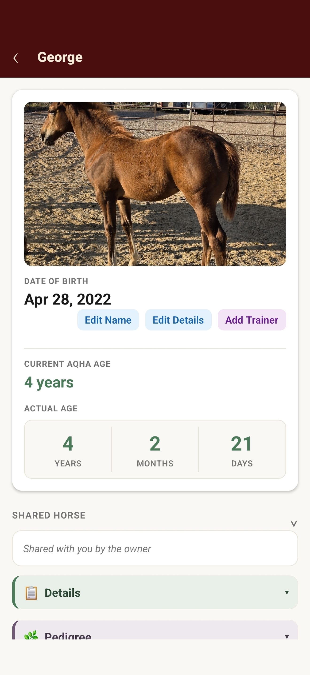 Horse Math screenshot 3