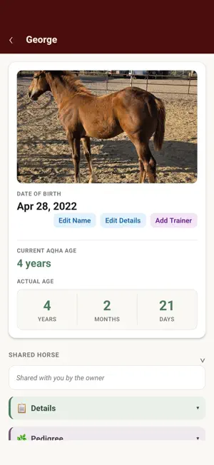 Horse Math screenshot 3