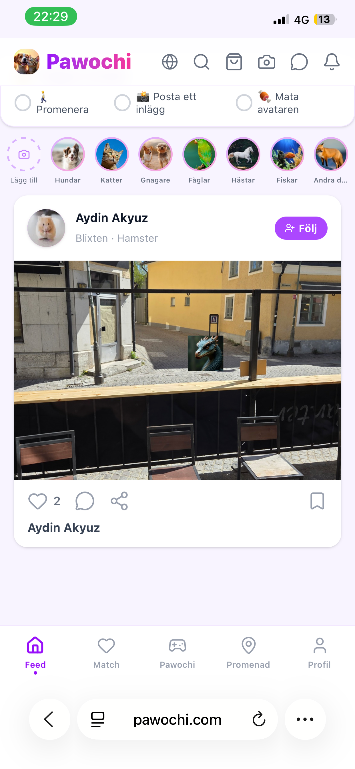 Pawochi screenshot 4