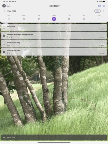 Do it Diary Todo Task Reminder iPad screenshot