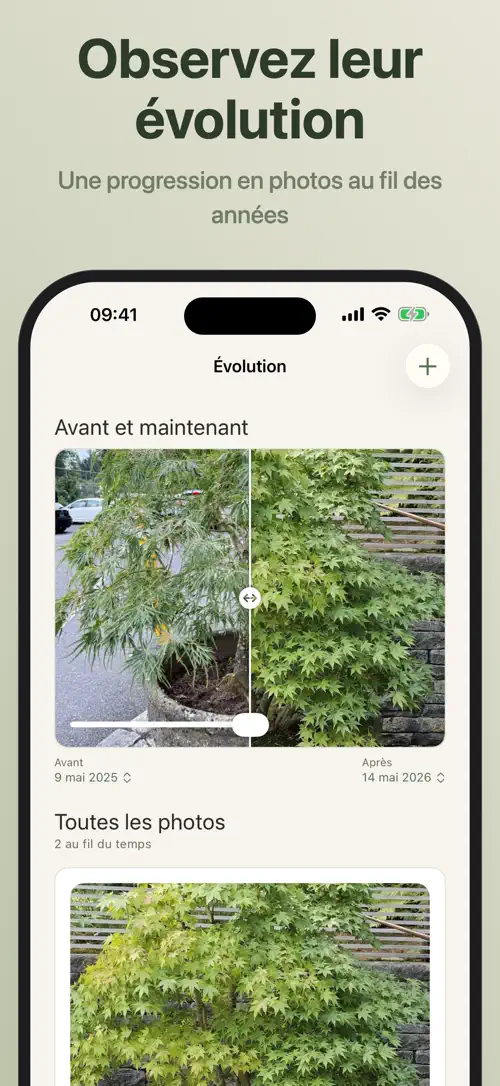Bonsaiku sur iPhone : capture d’écran 6 sur 7