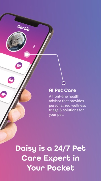 Daisy: AI Pet Care App