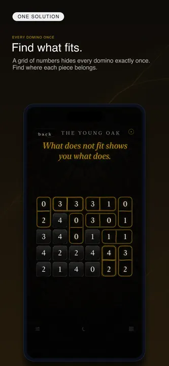 Tsugi: Zen Dominosa Puzzle screenshot 1