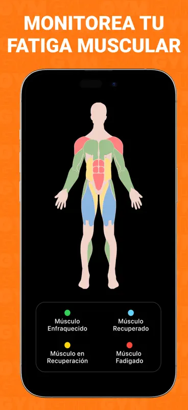 Gym WP - Rutina Entrenamiento screenshot 5 of 7