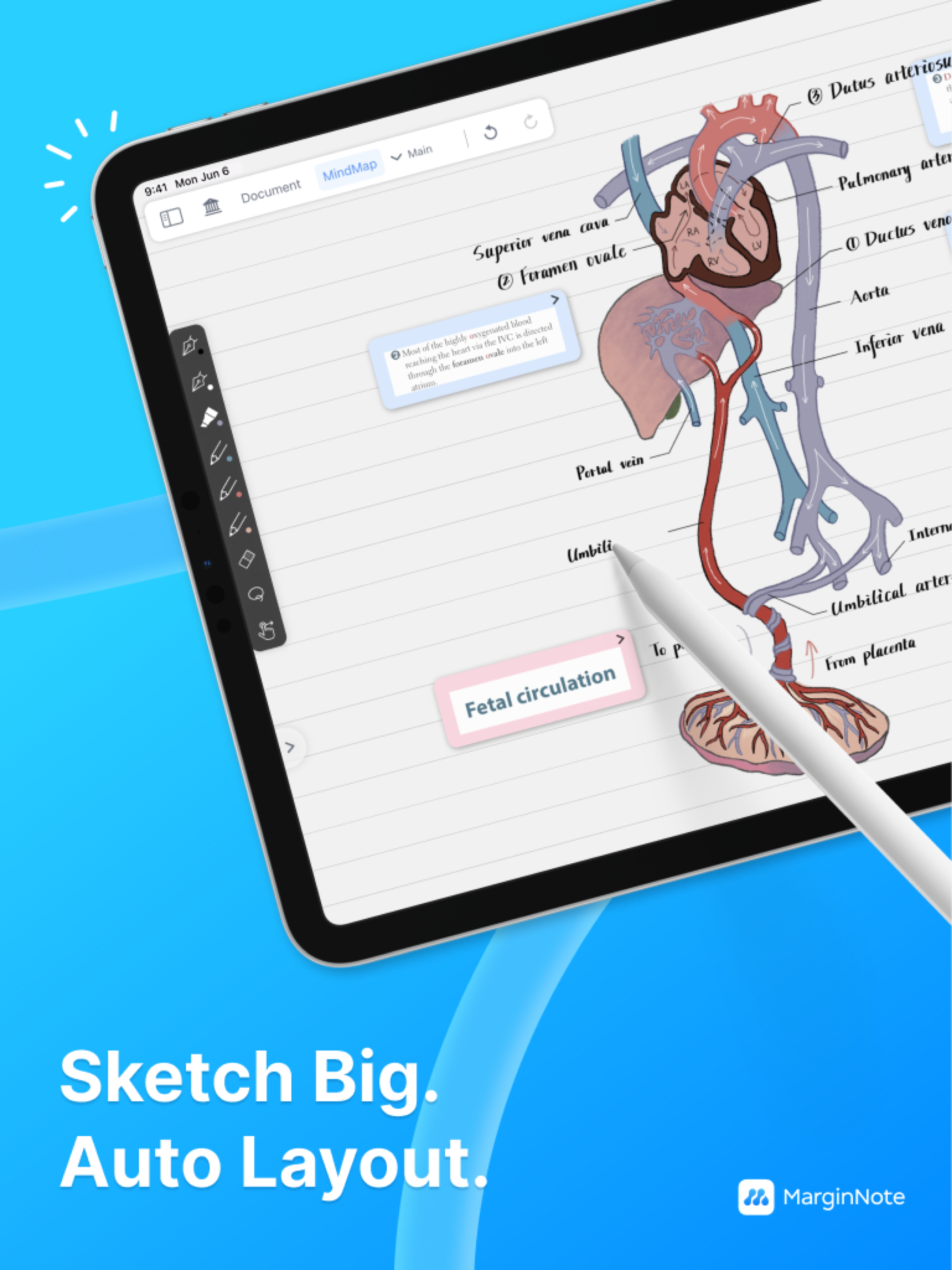 MarginNote 4: AI Notes·MindMap