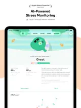 StressBoard 2