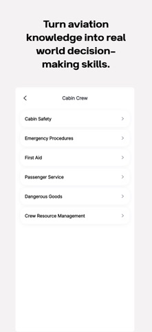 AviPeak: Cabin Crew & Pilot Screenshot 6 of 6