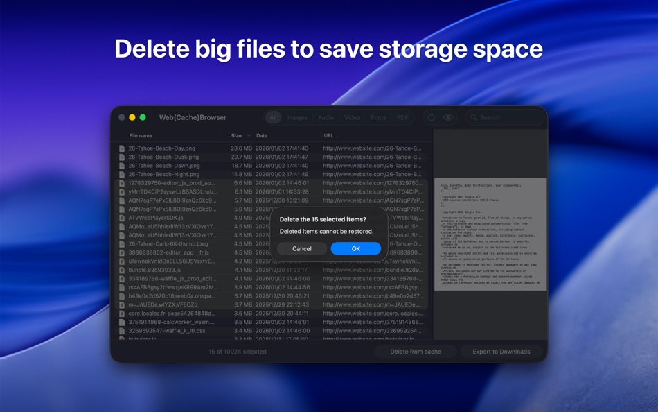 #4. Web(Cache)Browser (macOS) Podle: GRC