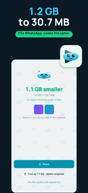 Squish: Video Compressor screenshot 1