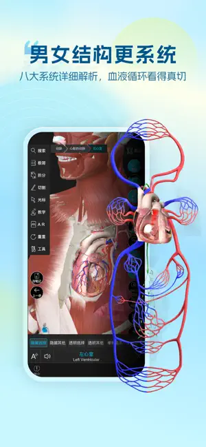 维萨里3D解剖-医学生解剖资源库 screenshot 2