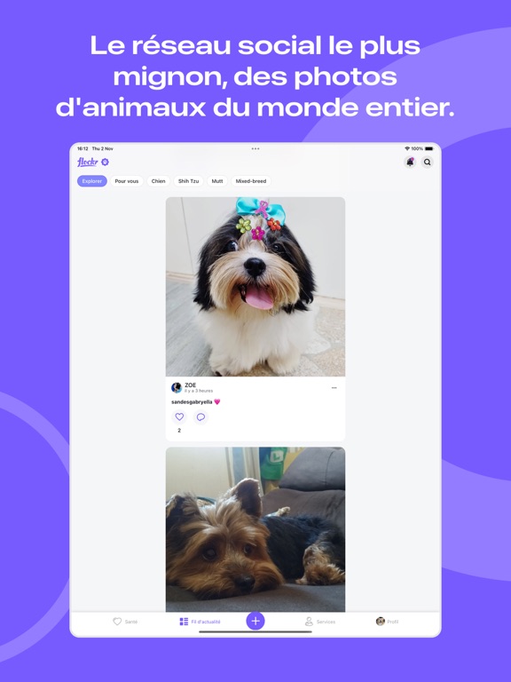 Screenshot #6 pour Flockr - La santé des animaux