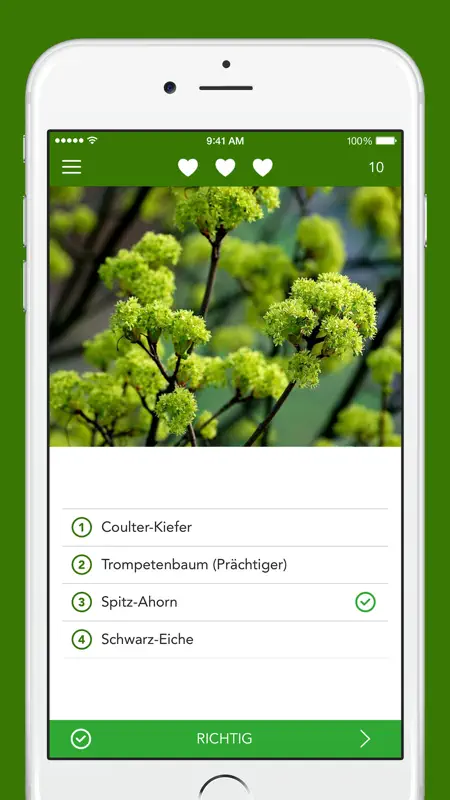 Baumführer PRO screenshot 4 of 5