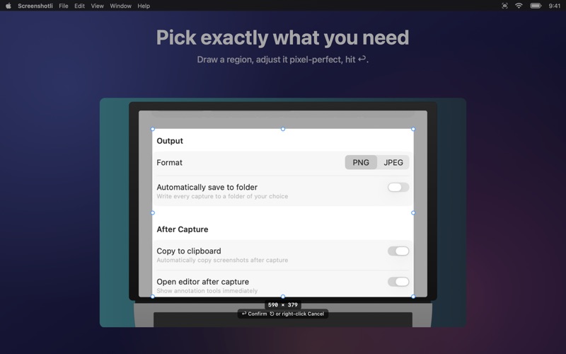 Screenshotli screenshot