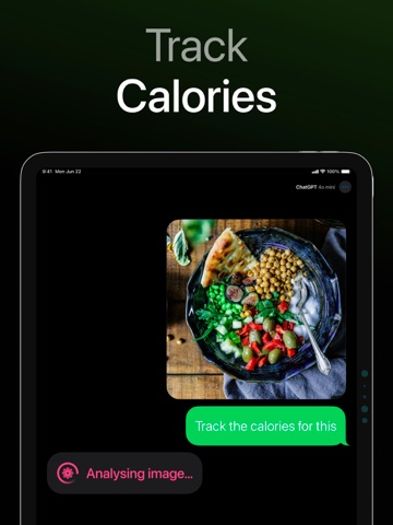 AI Chat for Gemini & Claude iPad screenshot
